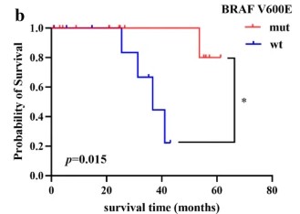 The presence of BRAF V600E mutation in PXA.jpg